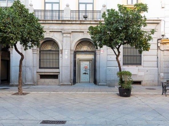 Business premise in Jerez de la Frontera