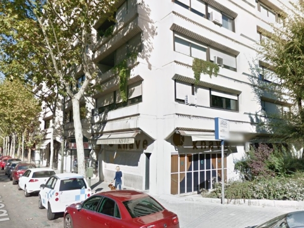 Business premise in Vallehermoso