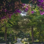 Terraced house in Centro Histórico Cádiz