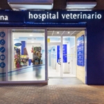 Business premise in Alcorcon