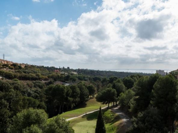Villa house in Elviria