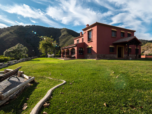 Villa house in Limonar