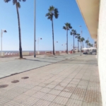 Business premise in Cortadura