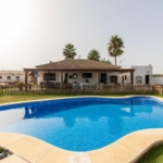 Villa house in Aznalcázar