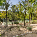 Apartment in Alcobendas