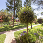 Apartment in Costabella